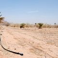 La plaine d’Abadla était promise dans les années