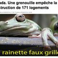 NOUS AUSSI ON VA TROUVER UNE ESPECE RARE DANS NOS JARDINS