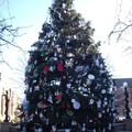Christmas tree of Downers Grove...
