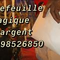 Bedou magique sans conséquence +22998526850