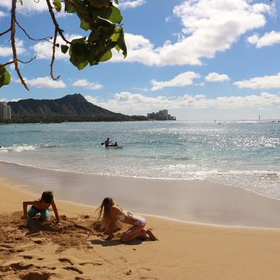 Premiere partie - Waikiki