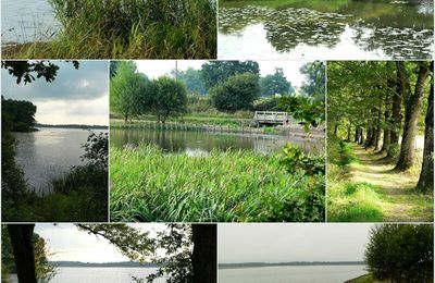 L'étang des Landes - photos