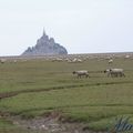 Mont Saint Michel #8