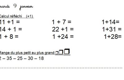 Exercices d'entraînement en mathématiques janvier (nombres et calculs)