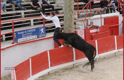 Remoulins