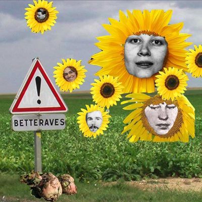 14.  Sur la route sans Freud, ça déménage pourtant !