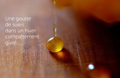 Tatin de mangue… rechauffer l'hiver #2