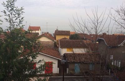 Le village ostréicole de l'herbe (CapFerret)