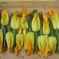 Fleurs de courgettes farcies à la ricotta et aux girolles, écume de curry léger