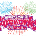 Mickey's Magical Fireworks & Bonfire 2010