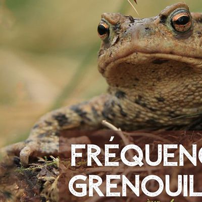 Opération Fréquence Grenouille 2025