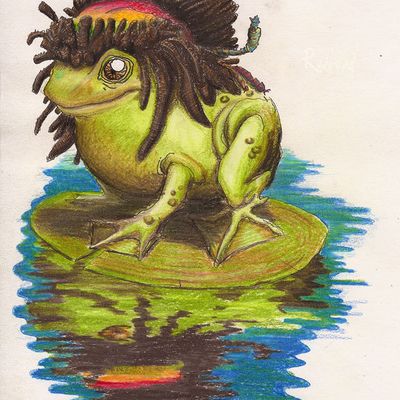 Le crapaud rasta en couleur.