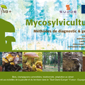 Sol et Mycosylviculture