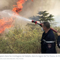 Incendies en Algérie