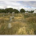 Carnac (56)