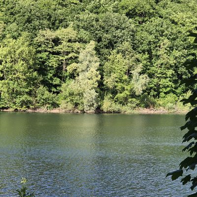 Les étangs de la Minière