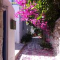 Naoussa... couleurs et lumières du matin (Paros)