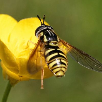 Sortie reconnaissance 1ère Pro 