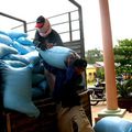 200 tonnes of rice for Danang Ketsana victims