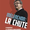 Hadrien Mathoux : Mélenchon : la chute