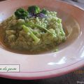 Risotto au brocoli.