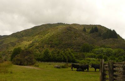 Randonnée sur la route 2 Gisborne-Opotiki