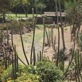 Les paysages et l'histoire du zoo de Martinique (2/2)