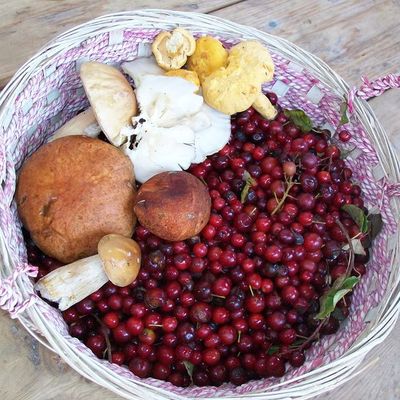 1-2-3 nous irons au bois