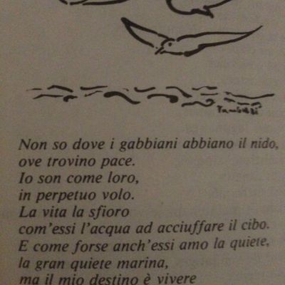 Prochain rendez-vous : poésie italienne à l'honneur