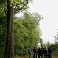 SUR LA FORÊT COMMUNALE, UN PLAN D’AMÉNAGEMENT JUSQU’EN 2040.