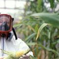 OGM, science et démocratie