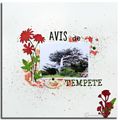 Avis de tempête