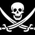 PIRATES ET HACKERS : A L'ABORDAGE ! ... SUR LA TOILE DU NET 