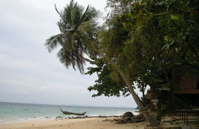 Koh Phi Phi (Thailande)