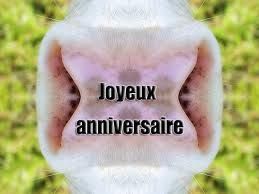 bon anniversaire