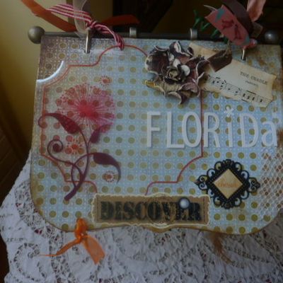 Mini-album aérien pour la Floride