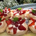 Minis Pavlovas