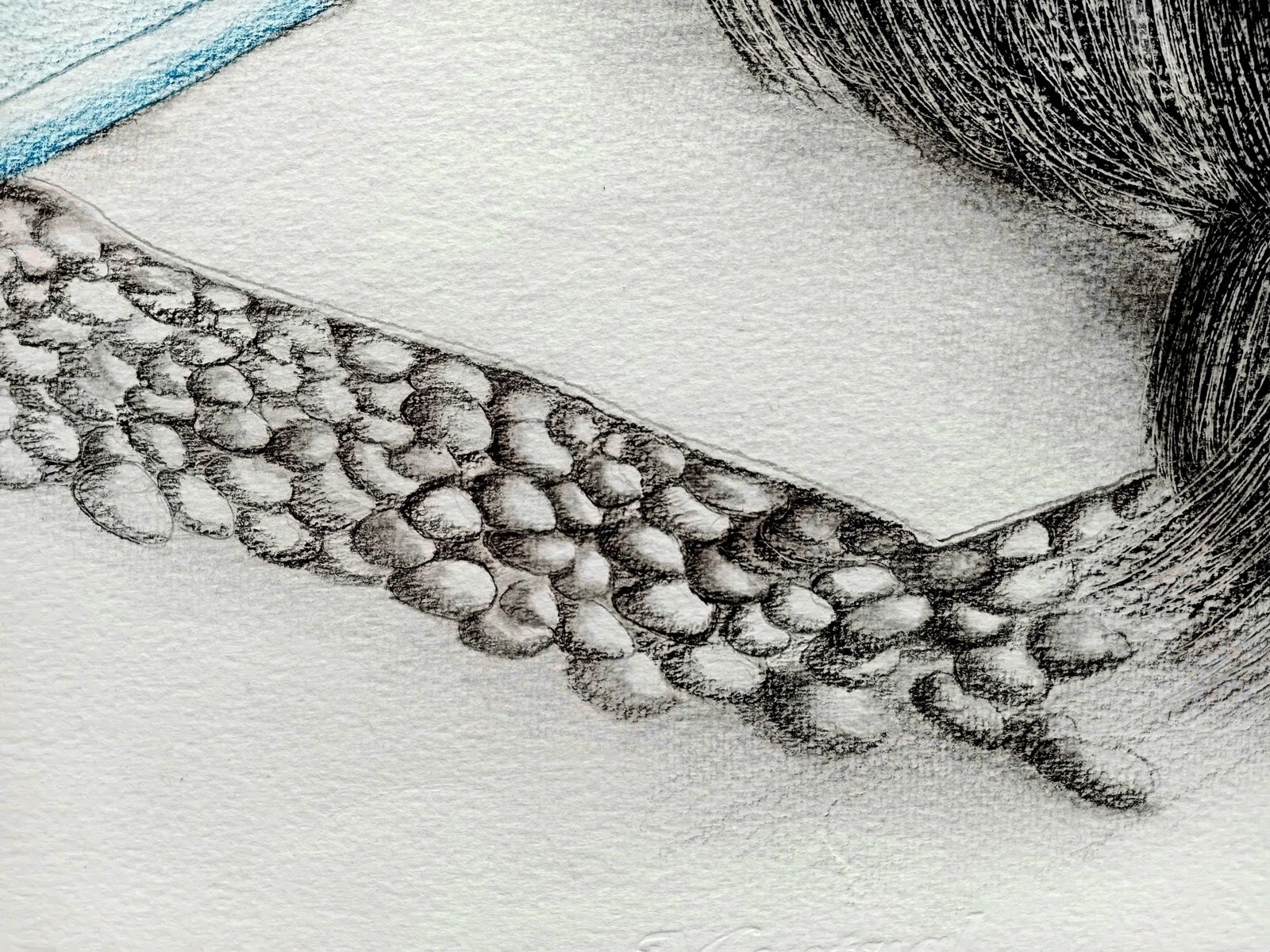 Dessin noir et blanc au crayon. Détail sur les galets d'une plage. On y voit une femme naturiste se protéger du soleil d'un revers de la main. 