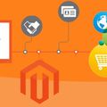 Maximizing Efficiency with Professional Magento Product Upload and Listing Services
