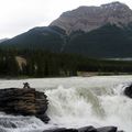 Les Rocheuses – parc national de Jasper (2)