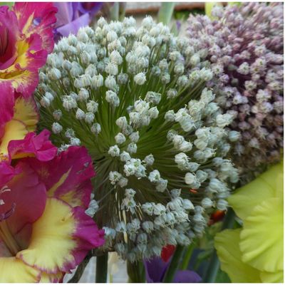 Le bouquet du vendredi