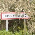 La maison de Boissy- sans- Avoir