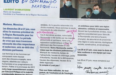 Quelques échos des élections régionales normandes depuis notre boîte aux lettres...