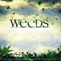 Weeds - Saison 1