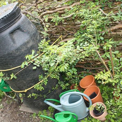 Septembre / octobre : quelques changements... (en cours...)