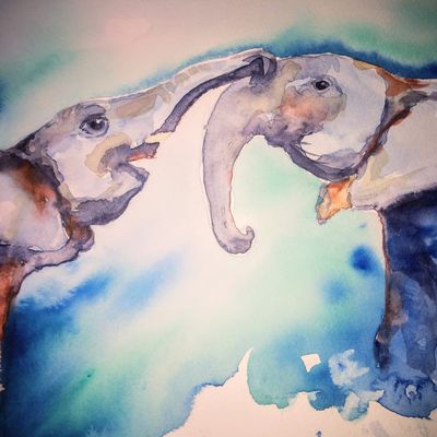 Eléphants