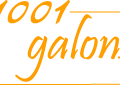 Le site internet 1001galons.com ouvre les portes de sa boutique en ligne
