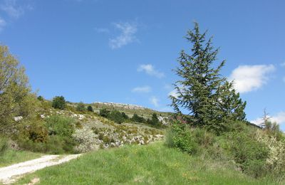 Le Poët en Percip: le col des Tunes