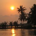 coucher de soleil sur les Backwaters