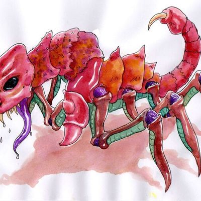 Ne pas laisser trop trainer le ménage...